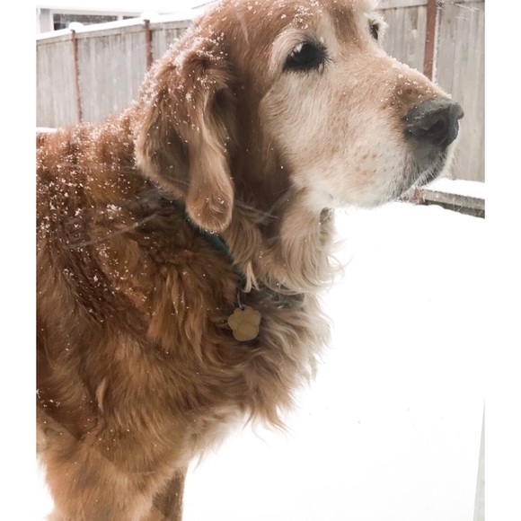 Meet your Posher, Jennifer - Picture 1 of 1